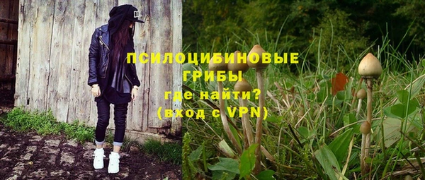 дурь Костерёво